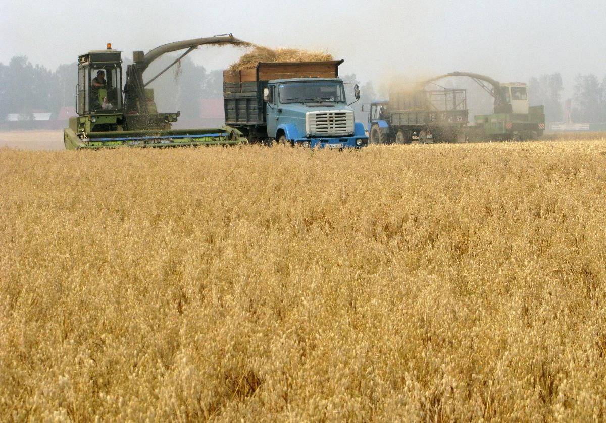 اتفاق بين أوكرانيا وروسيا لتصدير الحبوب عبر البحر الأسود برعاية تركيا والامم المتحدة